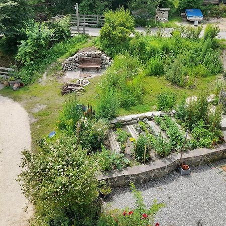 Im Naturgarten تآيسيندورف المظهر الخارجي الصورة