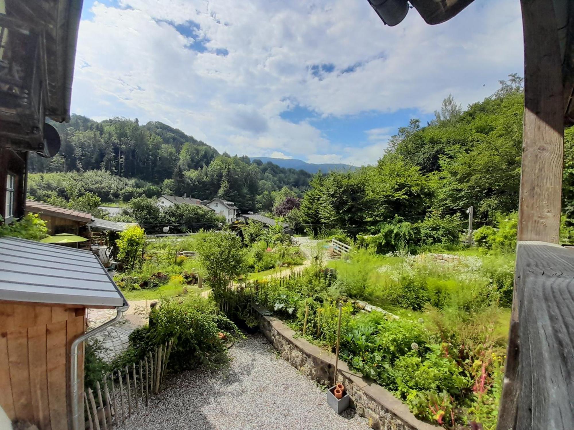 Im Naturgarten تآيسيندورف المظهر الخارجي الصورة