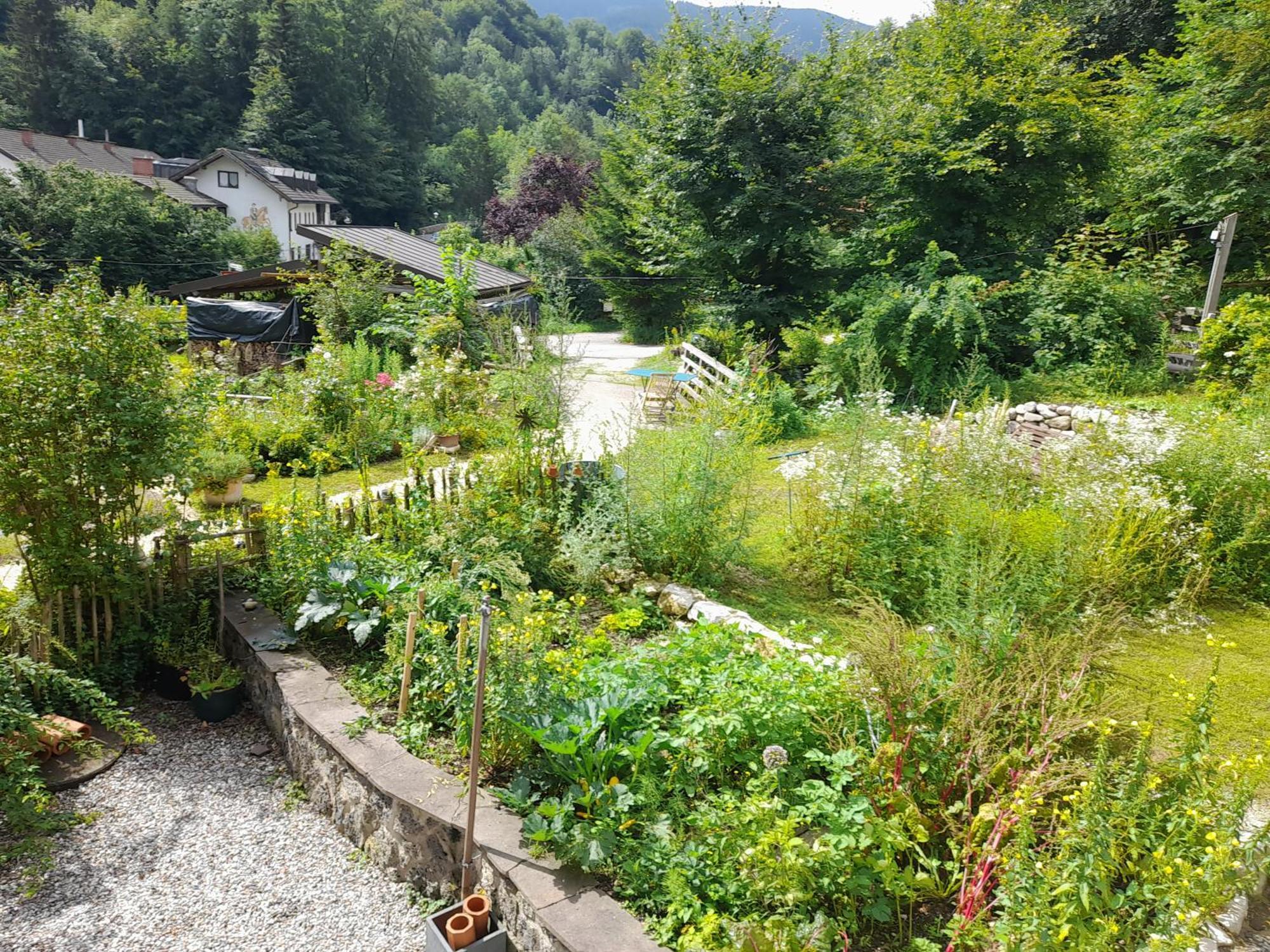 Im Naturgarten تآيسيندورف المظهر الخارجي الصورة