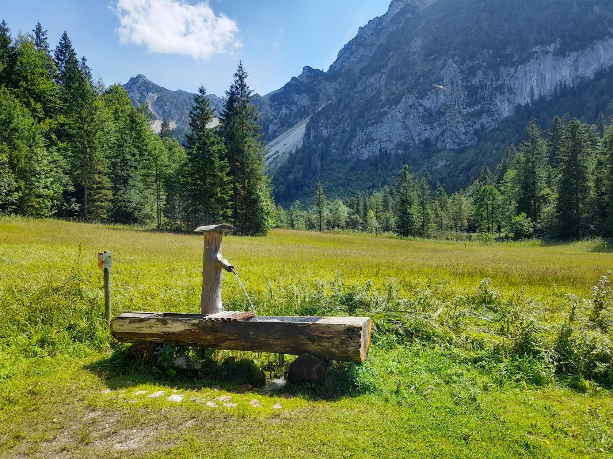 Im Naturgarten تآيسيندورف المظهر الخارجي الصورة