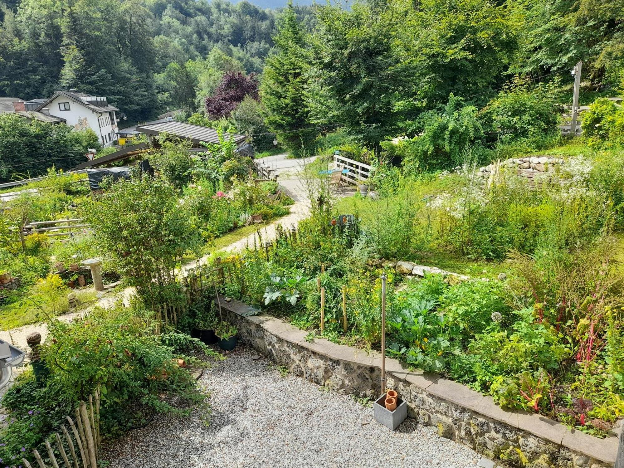 Im Naturgarten تآيسيندورف المظهر الخارجي الصورة